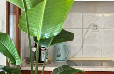 Nice, spacious and bright apartment in Thermi, Thessaloniki. - Photo 13