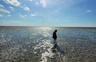 Ferienhaus ROSA mit Sauna - Foto 28