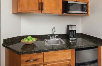 Marriott's Shadow Ridge Studio Apartment with Resort Access - Foto 22