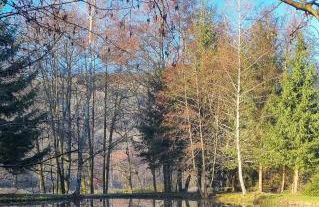 Insolite Chalet de pêche Sérénité - Bien Etre - Foto 38