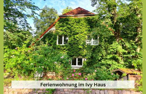 Ivy Haus - Foto 1