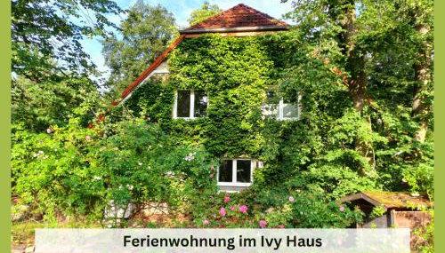 Ivy Haus - Foto 1, Garden