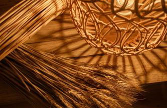 Exclusive Pena Rio - Foto 78