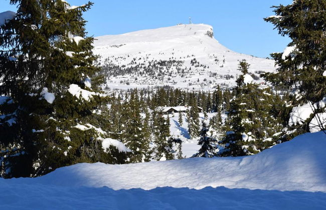 Skeikampen Booking - Foto 38