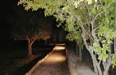 Quinta da Tapada de São Pedro - Foto 61