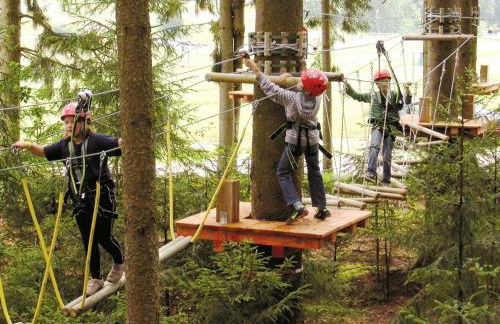 Baumhaus Hotel Voglsam - Foto 18