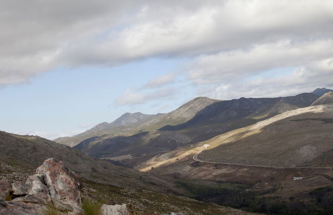 Blue Gum Country Estate - Foto 78