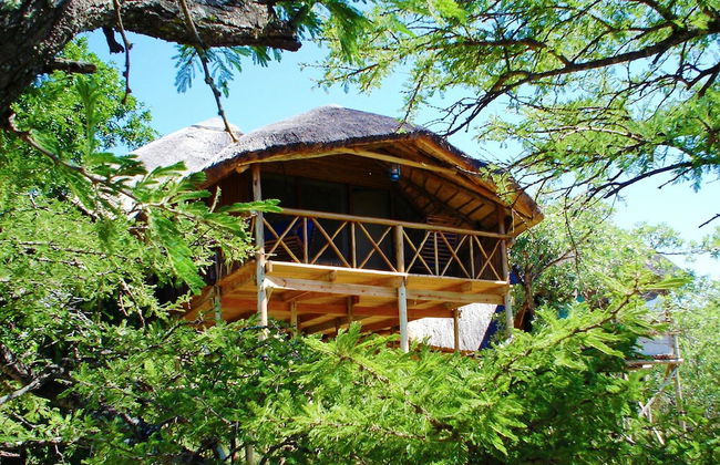 Pezulu Tree House Lodge - Foto 37