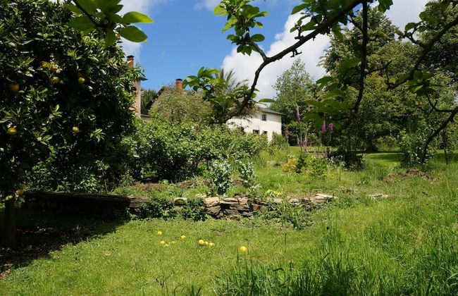 Apartamentos La Collada - Photo 38