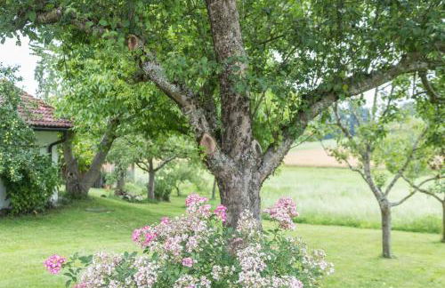 Zuhaus am See - Foto 20