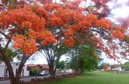 #casinhadasbananeiras - Foto 38