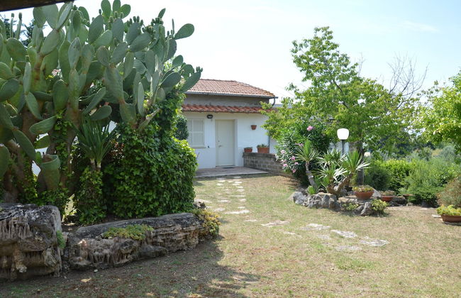 Tenuta Di Pontesodo - Foto 17