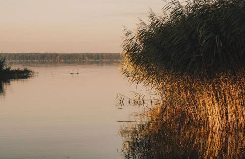 Watermark Usedom - Traumhaus direkt am Wasser mit eigener Badestelle - Haus Woge - Foto 32