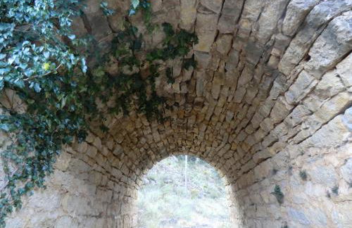 Flor de Lis - Foto 41