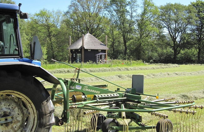 Cozy House near River - Photo 32