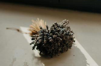 Design Farm House Amid Wild Uckermark Nature - Foto 25