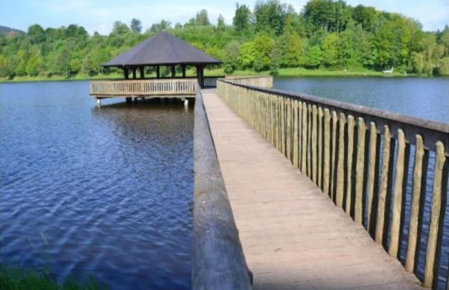 Gite in Ardennes With Sauna and Rural Views - Photo 38