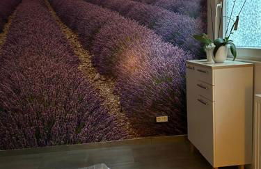 Neue Erdgeschosswohnung in Zentrum von Rockenhausen - Foto 9