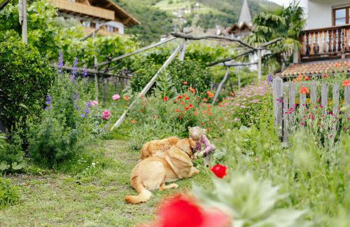 Hofer am Bach - Foto 6