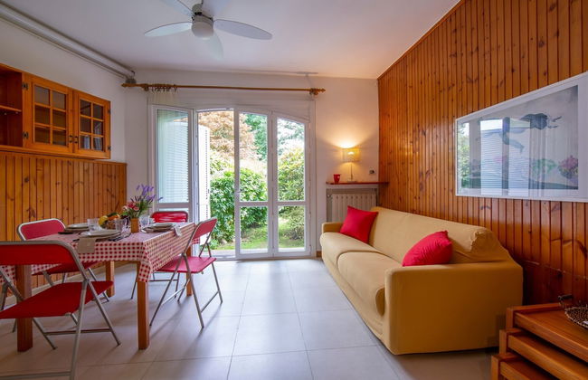 Rododendro Rosso - Foto 7