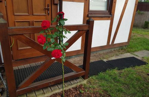 Pustkowo Domki Wakacyjne u Marka - Foto 21