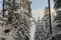 Przystanek Letnisko - Foto 31