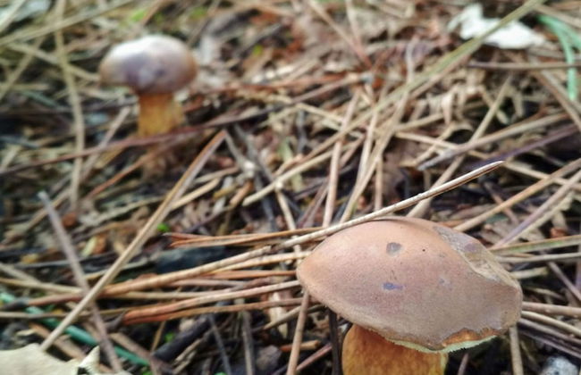 Casa de Verdes - In Cabana de Bergantinos - Photo 131