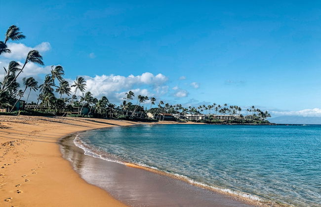 Napili Village Hotel - Foto 33