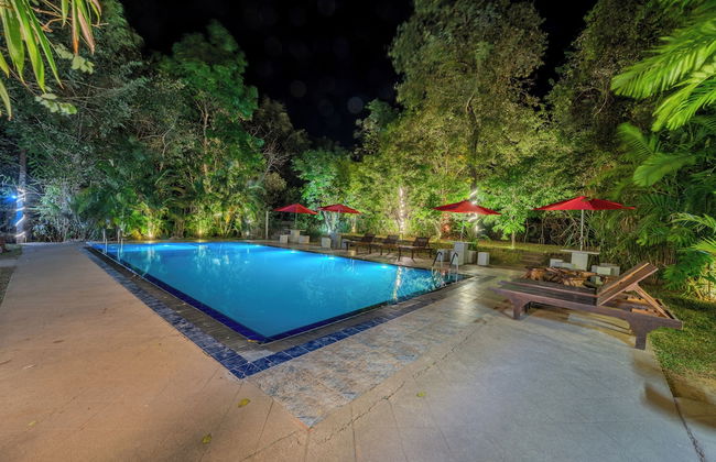 Woodland Sanctuary - Photo 27