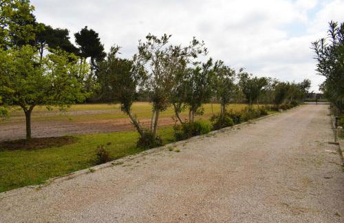 La Cecia - Casa vacanze nella campagna salentina - Foto 24