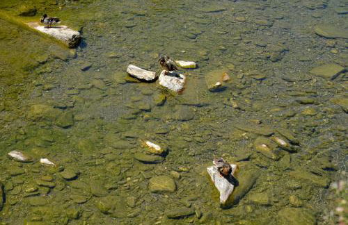 La sosta del Viandante - Foto 62