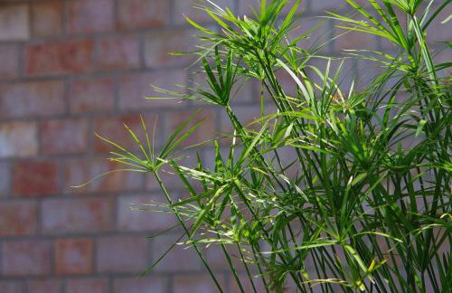 Large and charming apartment near beach with big & sunny terrace - Photo 47