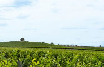 Maison avec piscine, vue sur le Canal du Midi - Foto 36