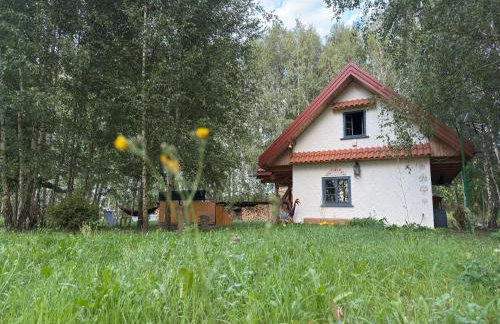 Domek Marianówka PRYWATNA BALIA OGRODOWA - Foto 11