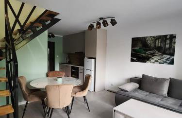 Holiday Hossa House 391 - całoroczne domy z Jacuzzi Sława - Foto 12