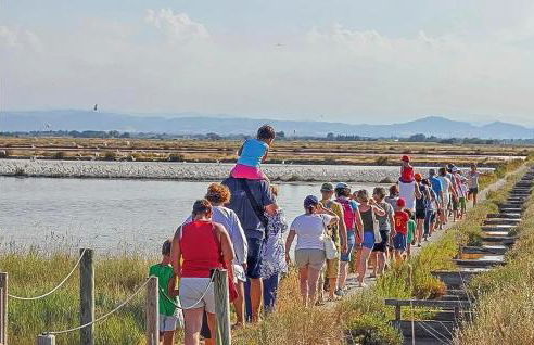 Modern apartment in Lido di Pomposa, 50 m² with balcony. - Foto 16