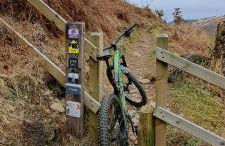 Elm Grove - Photo 24