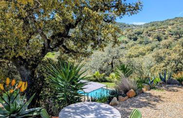 Finca Bravo - Foto 15