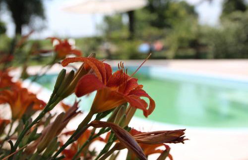 Agriturismo Ca' Alleata - Foto 6