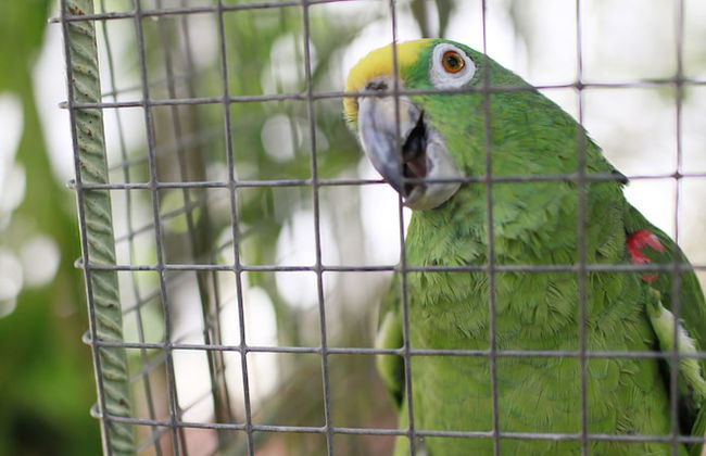 Hersher Studios & Apartments - Foto 35