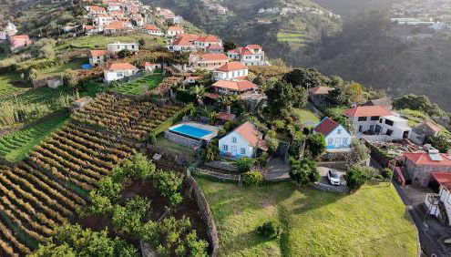 Lucky Lemons - Boutique Houses Madeira (Studio) - Photo 2