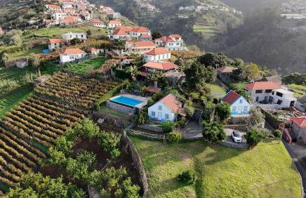 Lucky Lemons - Boutique Houses Madeira (Studio) - Photo 2