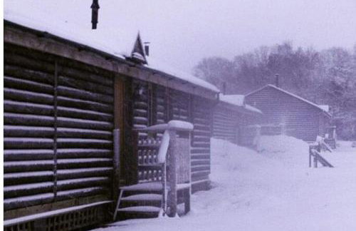 Deer Cabin-hot tub-dog friendly-mountain view - Foto 28