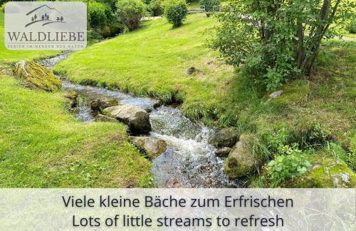 Exklusives 5-Sterne Apartment Waldliebe mit Indoor-Pool, Sauna, top Lage und Ausblick in die Natur, Hunde willkommen - Foto 29