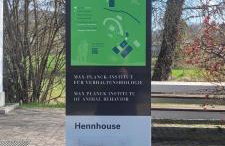 Seeschwalbe - Foto 24