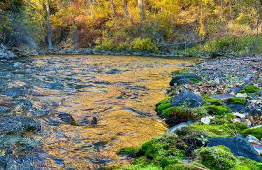 Jocko River Retreat - A Nature Lovers Dream - Foto 32
