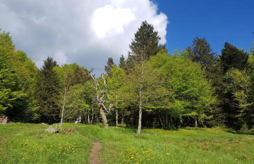 Apartment Charmante Wohnung in Langfurth mit Kleinem Balkon by Interhome - Foto 20