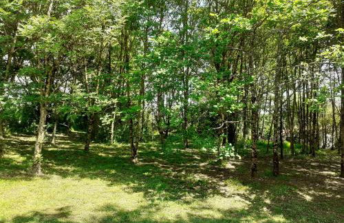 Gîte Le Petit Bois, près de Rocamadour, Padirac - Foto 20