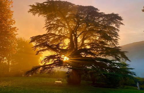 Château des Janroux - Foto 43