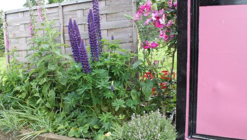 Off the Rails - Foto 2